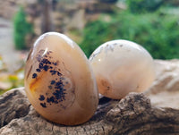Polished Banded Agate Palm Stones x 12 From Madagascar
