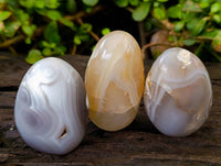 Polished Banded Agate Palm Stones x 12 From Madagascar