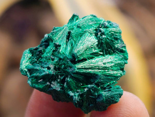 Natural Silky Malachite Specimens x 70 From Kasompe, Congo