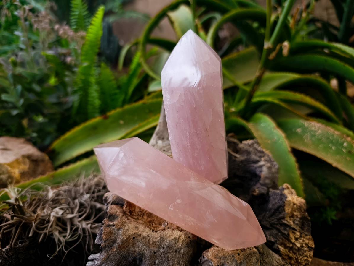 Polished Double Terminated Rose Quartz Points x 4 From Madagascar - Toprock Gemstones and Minerals 