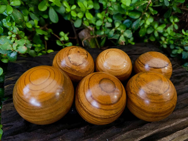 Polished Picture Stone Jasper Spheres x 6 From Ais-Ais, Namibia
