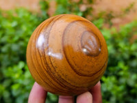 Polished Picture Stone Jasper Spheres x 6 From Ais-Ais, Namibia