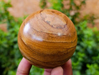 Polished Picture Stone Jasper Spheres x 6 From Ais-Ais, Namibia