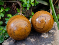 Polished Picture Stone Jasper Spheres x 6 From Ais-Ais, Namibia