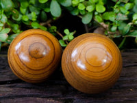 Polished Picture Stone Jasper Spheres x 6 From Ais-Ais, Namibia