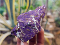 Natural Metallic Purpurite Specimens x 24 From Erongo, Namibia