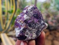 Natural Metallic Purpurite Specimens x 24 From Erongo, Namibia