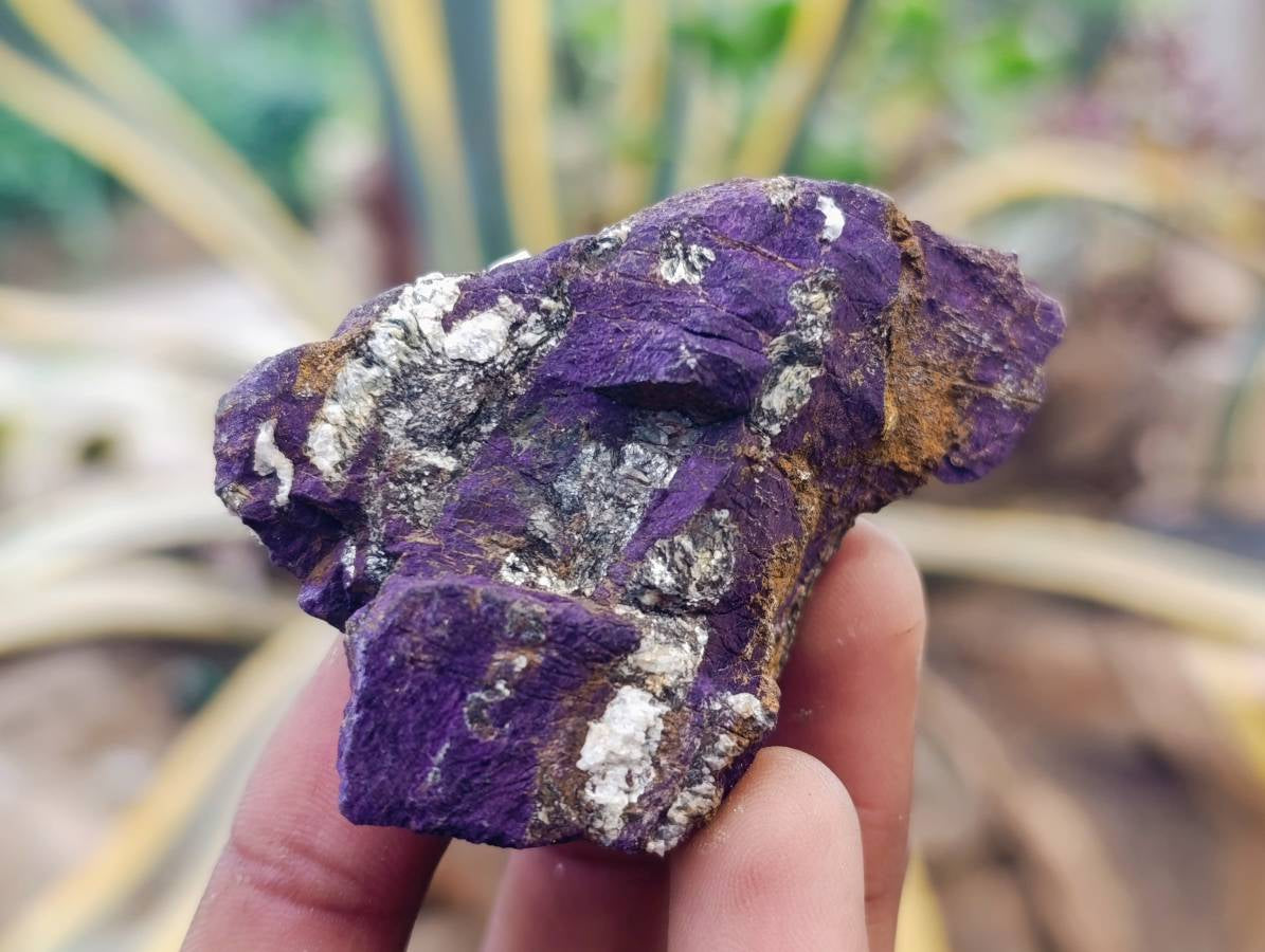 Natural Metallic Purpurite Specimens x 24 From Erongo, Namibia - Toprock Gemstones and Minerals 