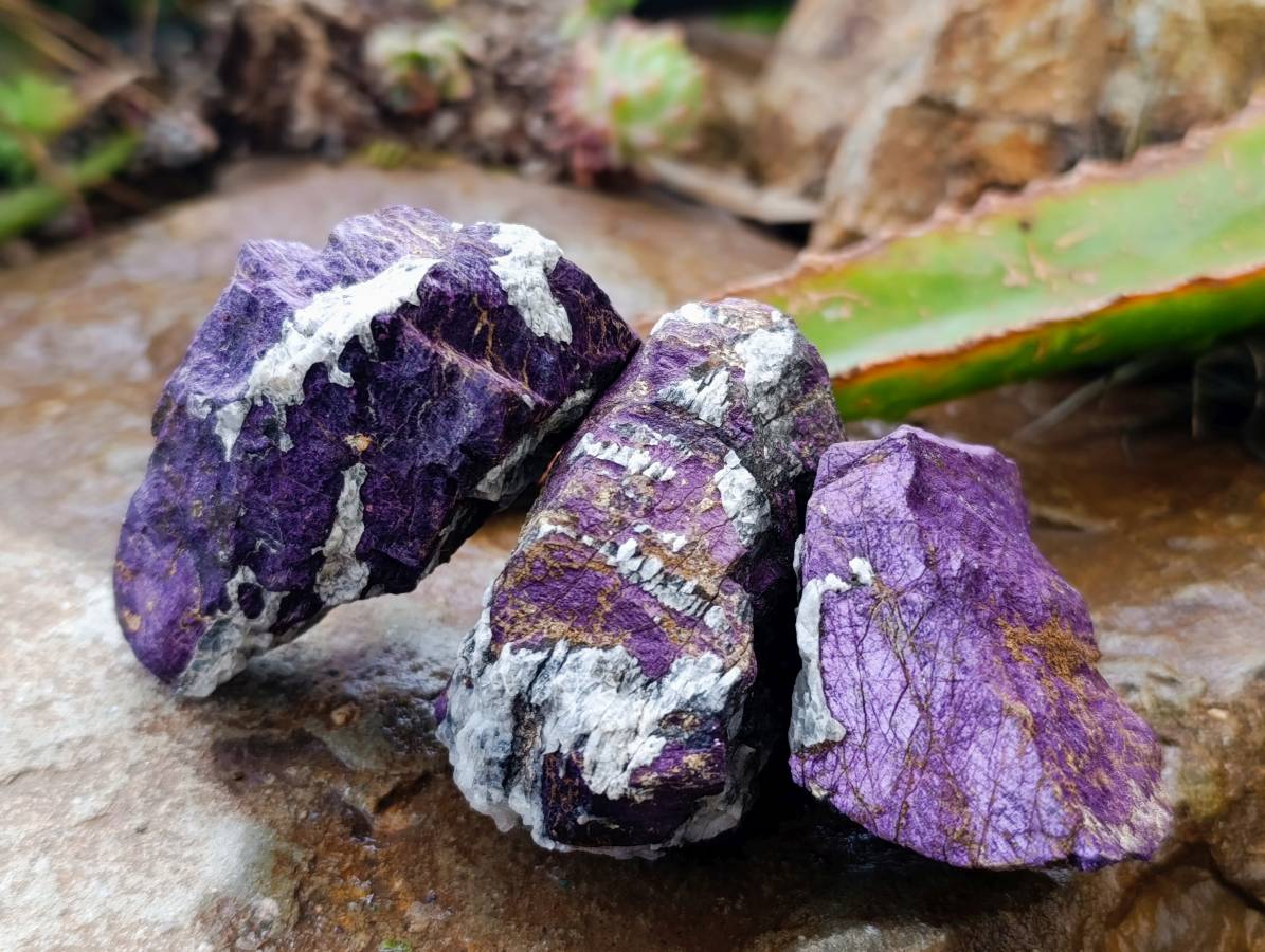 Natural Metallic Purpurite Specimens x 24 From Erongo, Namibia - Toprock Gemstones and Minerals 