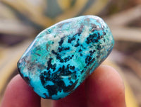 Polished Shattuckite Free Forms x 35 From Congo
