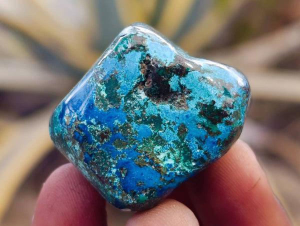 Polished Shattuckite Free Forms x 35 From Congo