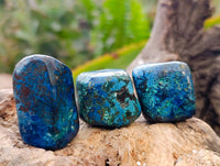 Polished Shattuckite Free Forms x 35 From Congo