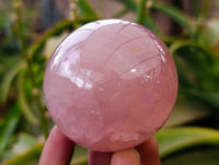 Polished Star Rose Quartz Spheres x 4 From Madagascar
