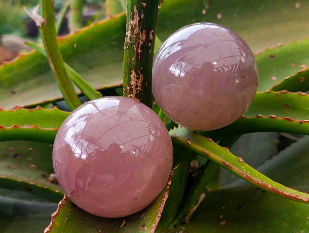 Polished Star Rose Quartz Spheres x 4 From Madagascar - Toprock Gemstones and Minerals 