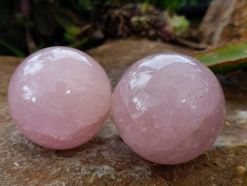 Polished Star Rose Quartz Spheres x 4 From Madagascar - Toprock Gemstones and Minerals 