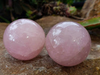 Polished Star Rose Quartz Spheres x 4 From Madagascar