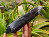Polished Double Terminated Bloodstone Points x 4 From Swaziland