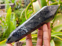 Polished Double Terminated Bloodstone Points x 4 From Swaziland
