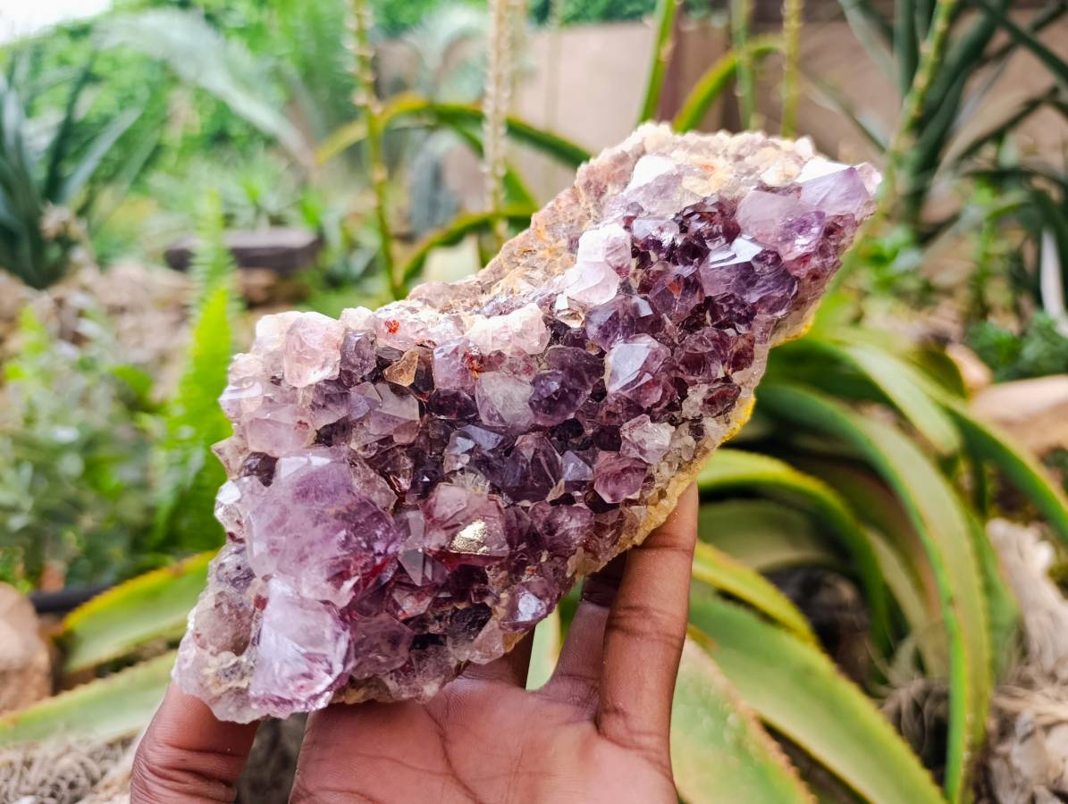 Natural Amethyst Spirit Quartz Clusters x 2 From South Africa - Toprock Gemstones and Minerals 