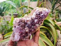 Natural Amethyst Spirit Quartz Clusters x 2 From South Africa