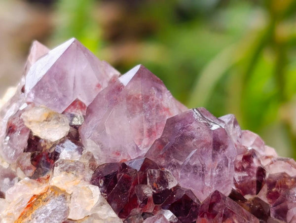 Natural Amethyst Spirit Quartz Clusters x 2 From South Africa