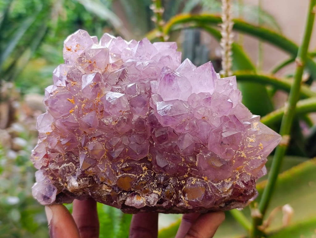 Natural Amethyst Spirit Quartz Clusters x 2 From South Africa - Toprock Gemstones and Minerals 