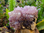 Natural Amethyst Spirit Quartz Clusters x 2 From South Africa - Toprock Gemstones and Minerals 