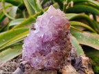 Natural Amethyst Spirit Quartz Clusters x 2 From South Africa - Toprock Gemstones and Minerals 