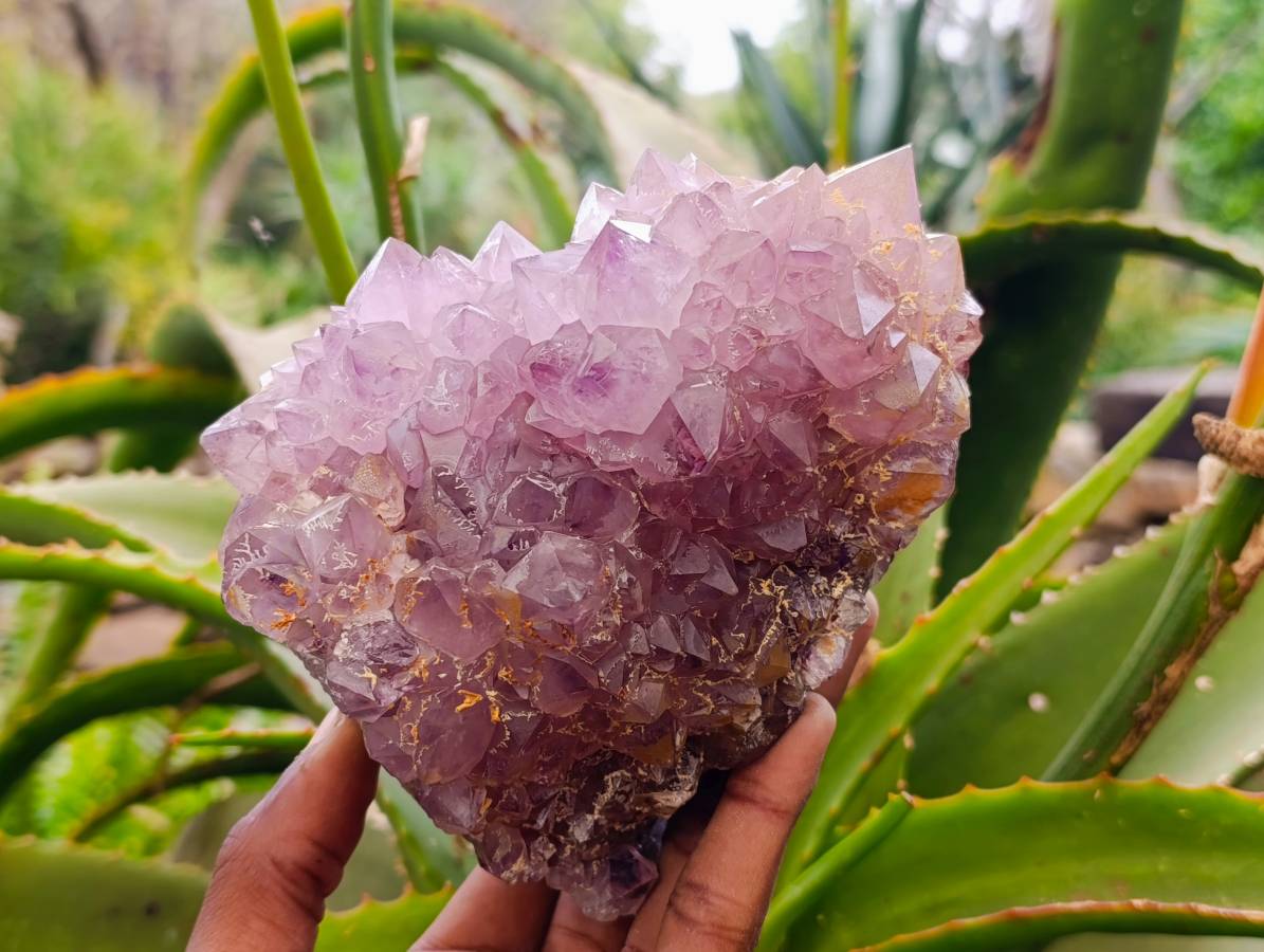 Natural Amethyst Spirit Quartz Clusters x 2 From South Africa - Toprock Gemstones and Minerals 