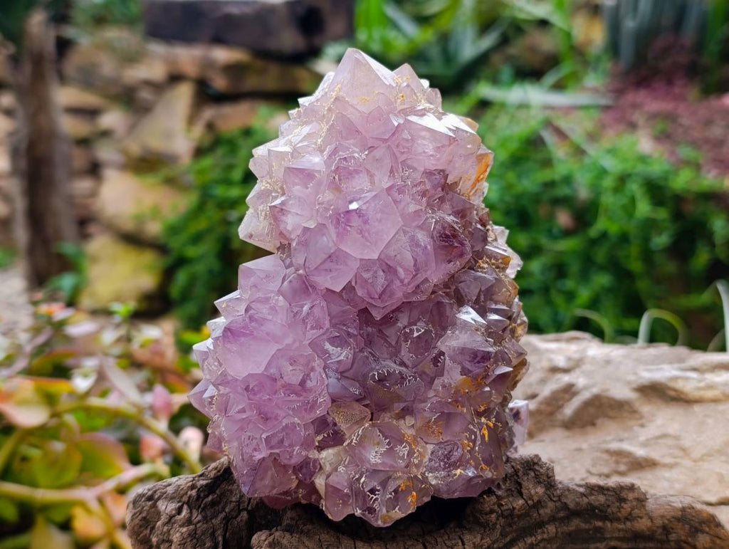 Natural Amethyst Spirit Quartz Clusters x 2 From South Africa - Toprock Gemstones and Minerals 