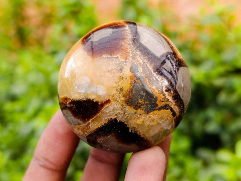 Polished Septerye Palm Stones x 12 From Madagascar - Toprock Gemstones and Minerals 