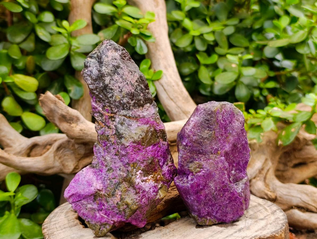 Natural Stichtite Specimens x 12 From Barberton, South Africa - Toprock Gemstones and Minerals 