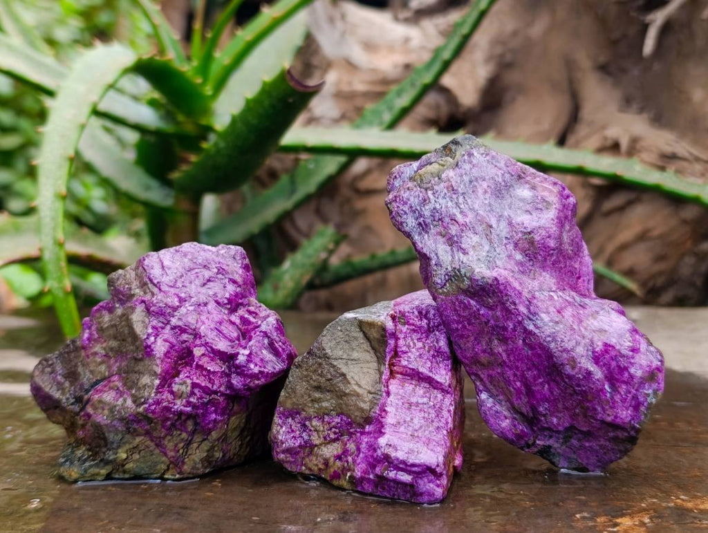 Natural Stichtite Specimens x 12 From Barberton, South Africa - Toprock Gemstones and Minerals 