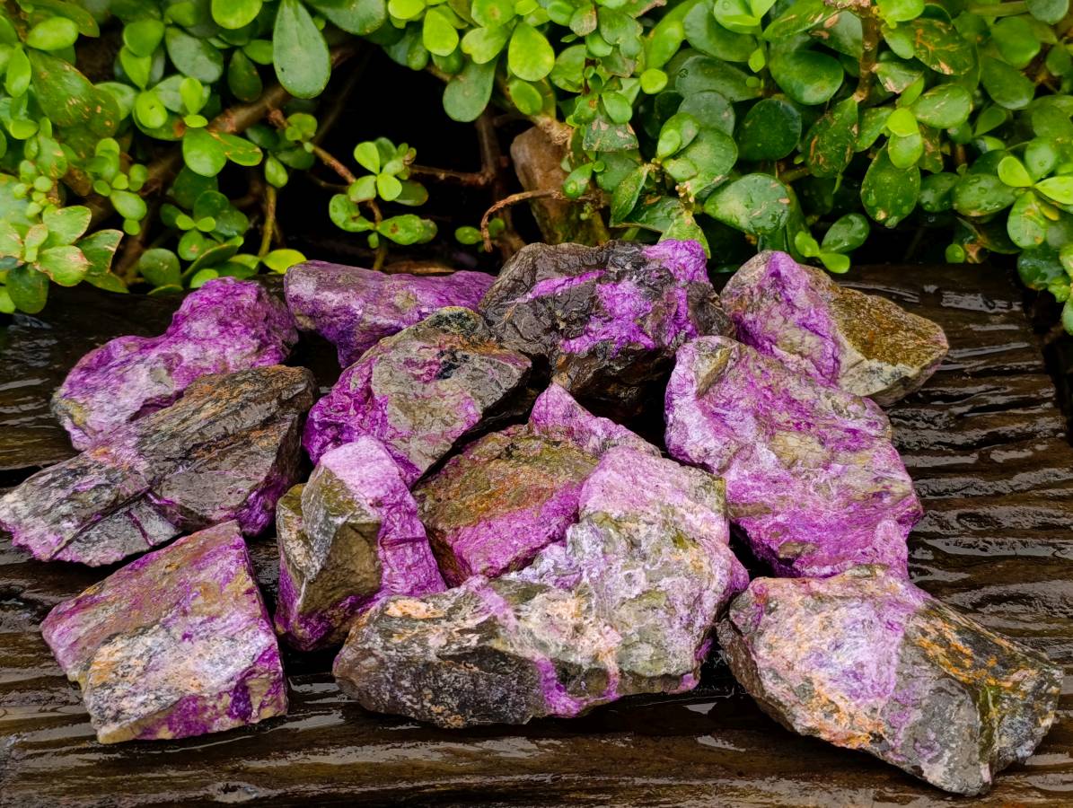 Natural Stichtite Specimens x 12 From Barberton, South Africa - Toprock Gemstones and Minerals 