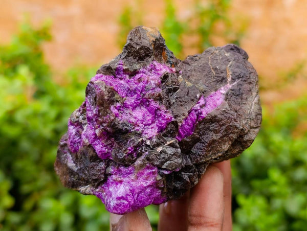 Natural Stichtite Specimens x 12 From Barberton, South Africa