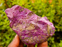 Natural Stichtite Specimens x 12 From Barberton, South Africa