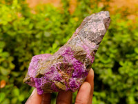 Natural Stichtite Specimens x 12 From Barberton, South Africa