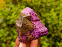 Natural Stichtite Specimens x 12 From Barberton, South Africa