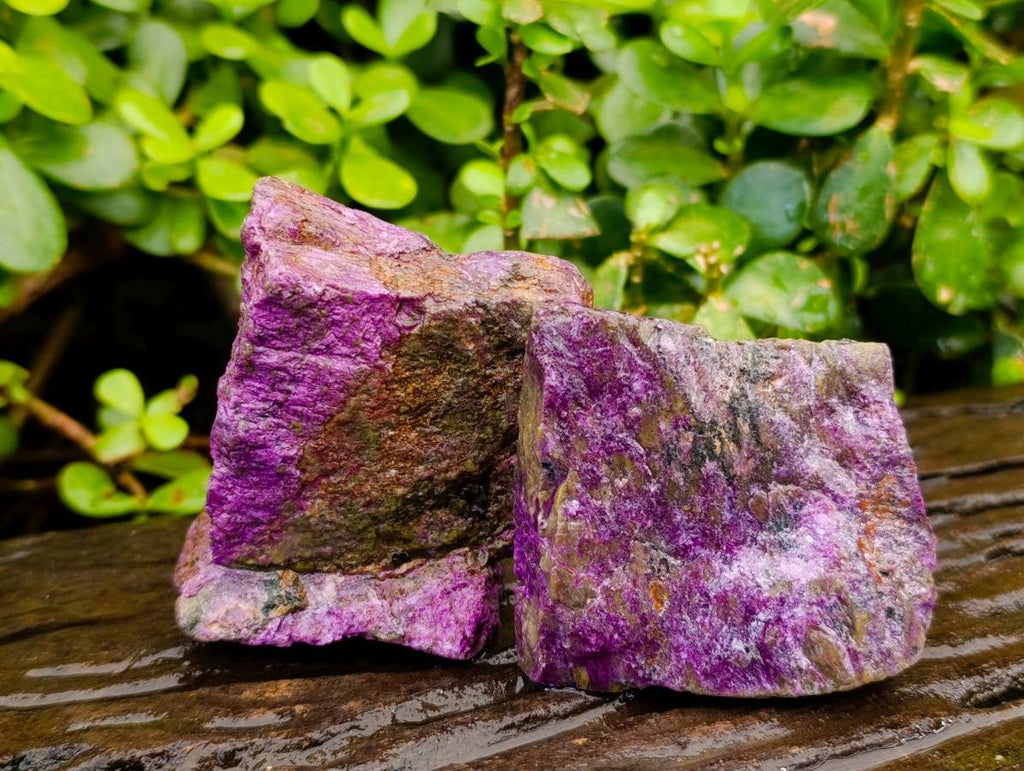 Natural Stichtite Specimens x 12 From Barberton, South Africa - Toprock Gemstones and Minerals 