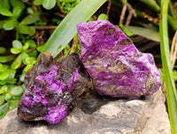 Natural Stichtite Specimens x 12 From Barberton, South Africa