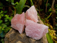 Natural Pink Rose Quartz Cobbed Specimens x 27 From North Cape, South Africa