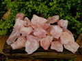 Natural Pink Rose Quartz Cobbed Specimens x 27 From North Cape, South Africa - Toprock Gemstones and Minerals 