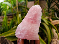 Natural Pink Rose Quartz Cobbed Specimens x 27 From North Cape, South Africa