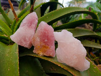 Natural Pink Rose Quartz Cobbed Specimens x 27 From North Cape, South Africa