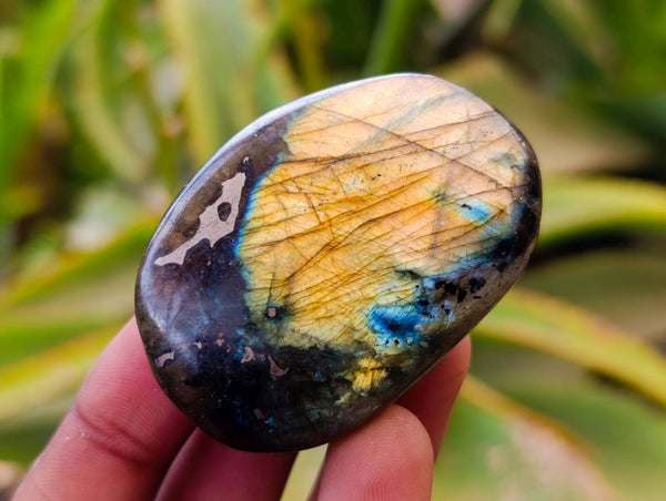 Polished Labradorite Palm Stones x 35 From Tulear, Madagascar