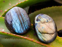 Polished Labradorite Palm Stones x 35 From Tulear, Madagascar - Toprock Gemstones and Minerals 