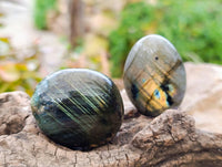 Polished Labradorite Palm Stones x 35 From Tulear, Madagascar - Toprock Gemstones and Minerals 