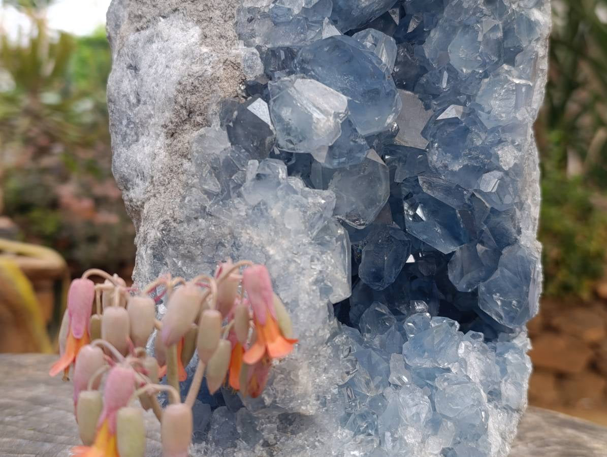 Natural Celestite Geode Specimen x 1 From Sakoany, Madagascar - Toprock Gemstones and Minerals 