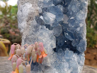 Natural Celestite Geode Specimen x 1 From Sakoany, Madagascar