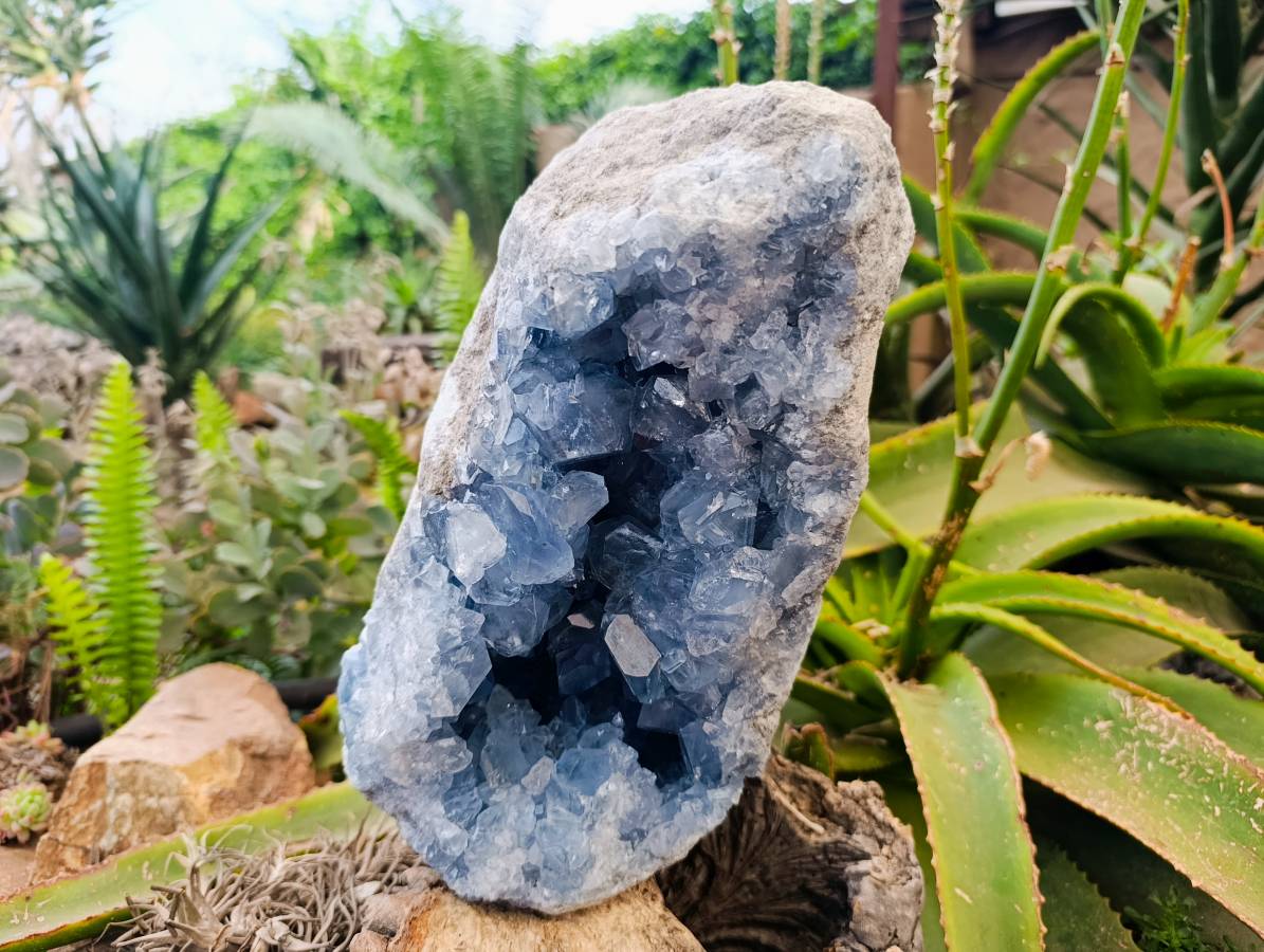Natural Celestite Geode Specimen x 1 From Sakoany, Madagascar - Toprock Gemstones and Minerals 